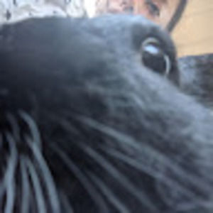 Meet your Posher, Joy